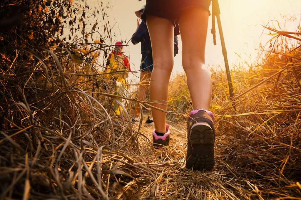 hiking people on a hike, walking - affordable outdoor activity